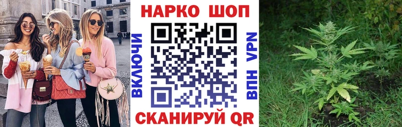 Где найти наркотики Рубцовск ГАШИШ  Кокаин  Амфетамин  МАРИХУАНА  Псилоцибиновые грибы  СОЛЬ  Меф 